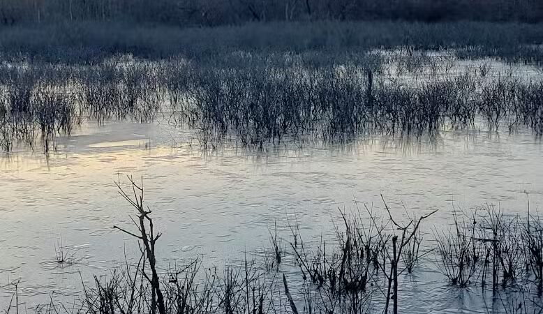 Ora E. Anderson Nature Trail - Carbon Hill, OH