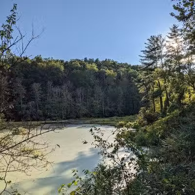 Ora E. Anderson Nature Trail - Carbon Hill, OH