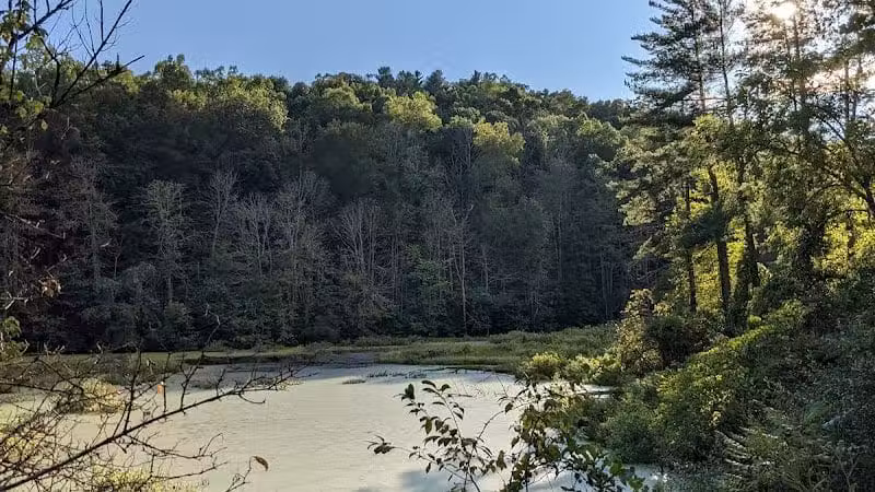 Ora E. Anderson Nature Trail - Carbon Hill, OH