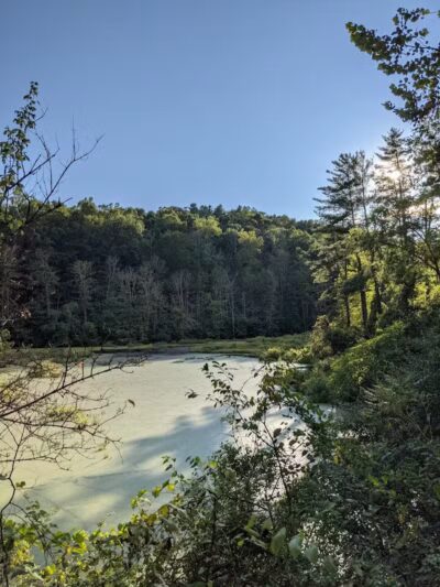 Ora E. Anderson Nature Trail - Carbon Hill, OH