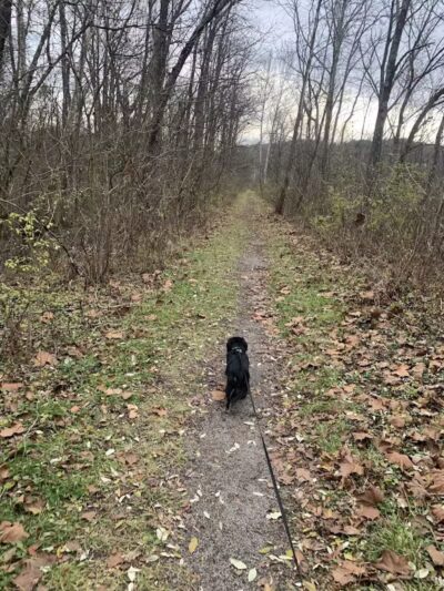 Ora E. Anderson Nature Trail - Carbon Hill, OH
