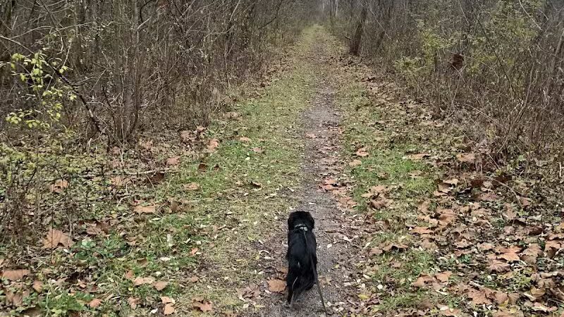 Ora E. Anderson Nature Trail - Carbon Hill, OH