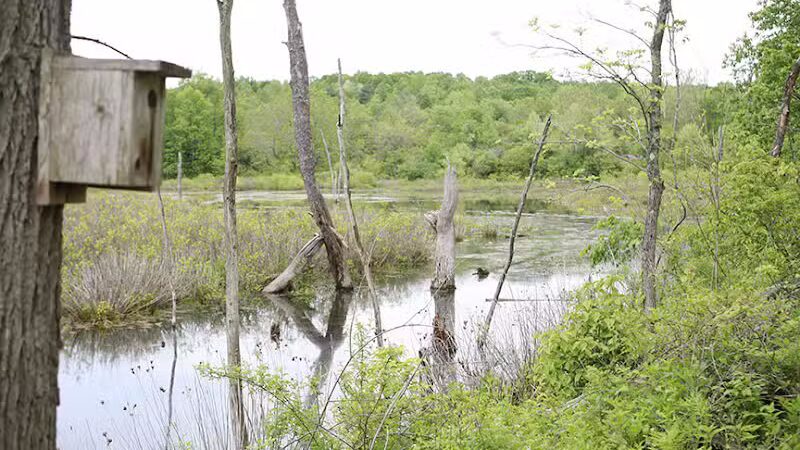 Ora E. Anderson Nature Trail - Carbon Hill, OH