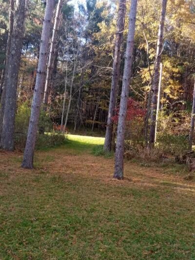 Bluebird Farm Park - Carrollton, OH