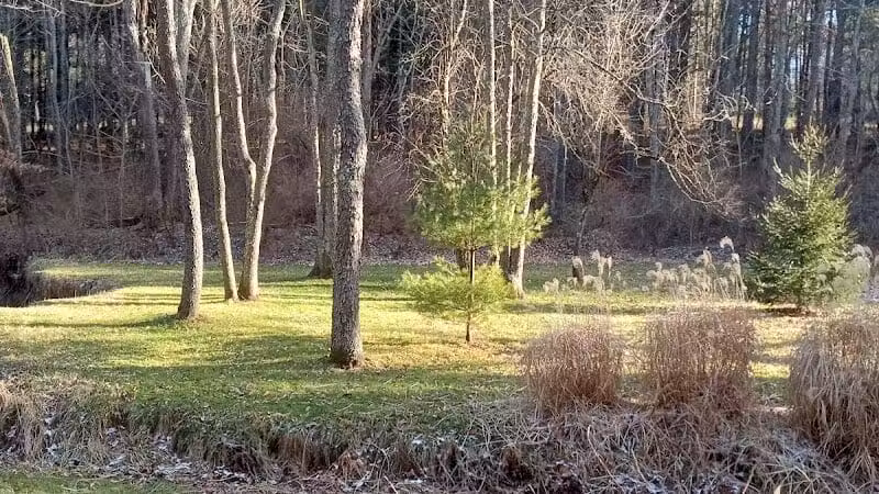 Bluebird Farm Park - Carrollton, OH