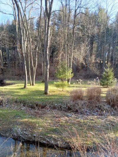 Bluebird Farm Park - Carrollton, OH