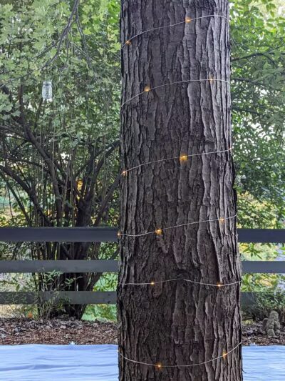 Bluebird Farm Park - Carrollton, OH