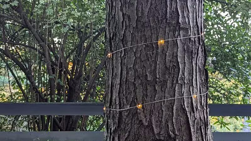 Bluebird Farm Park - Carrollton, OH