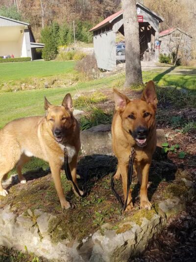Bluebird Farm Park - Carrollton, OH