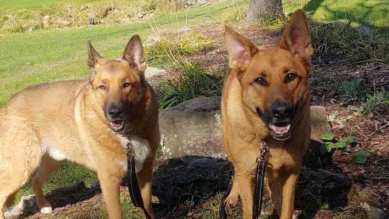 Bluebird Farm Park - Carrollton, OH