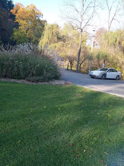 Bluebird Farm Park - Carrollton, OH