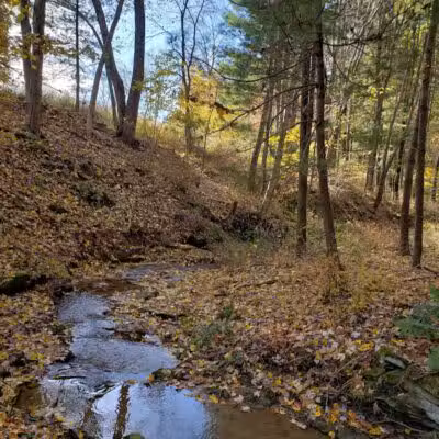 Carroll Community Park - Carrollton, OH