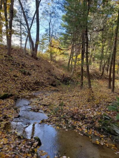 Carroll Community Park - Carrollton, OH