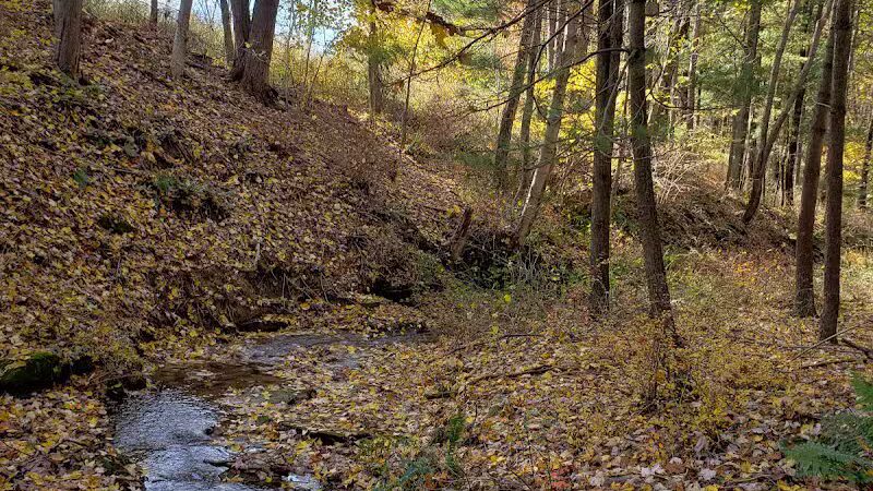 Carroll Community Park - Carrollton, OH