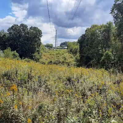 Carroll Community Park - Carrollton, OH
