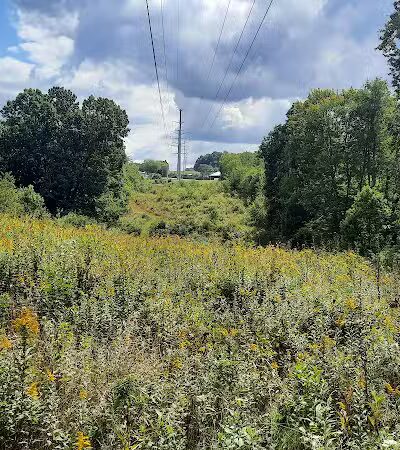 Carroll Community Park - Carrollton, OH