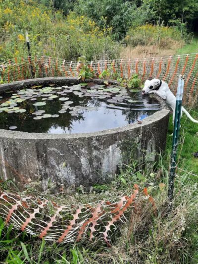 Carroll Community Park - Carrollton, OH