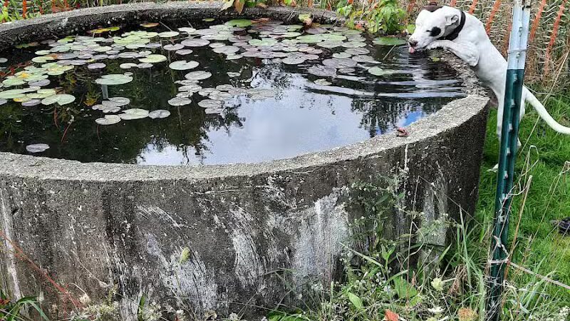 Carroll Community Park - Carrollton, OH