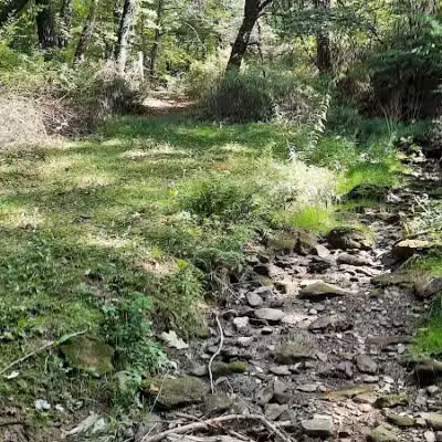 Carroll Community Park - Carrollton, OH