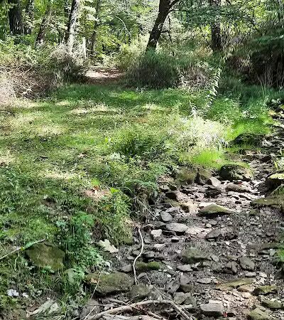 Carroll Community Park - Carrollton, OH