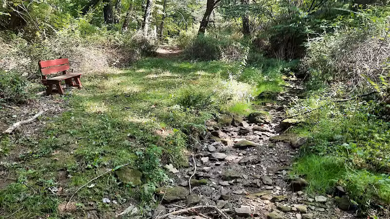 Carroll Community Park - Carrollton, OH
