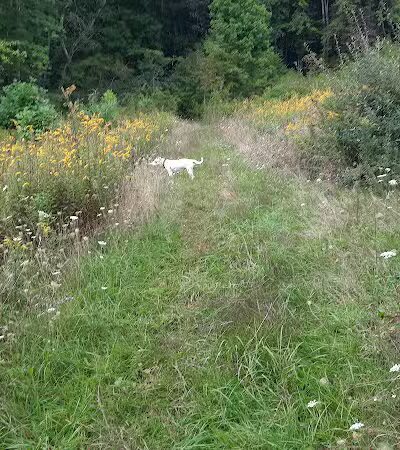Carroll Community Park - Carrollton, OH