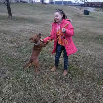 Carroll County Dog Warden's Office & Adoption Center - Carrollton, OH