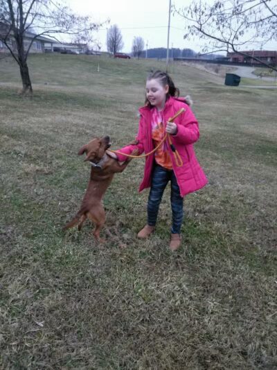 Carroll County Dog Warden's Office & Adoption Center - Carrollton, OH