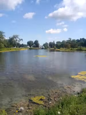 The Duck Pond - Castalia, OH