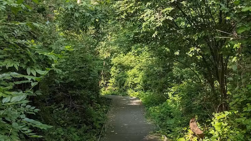 Castalia Quarry - Castalia, OH