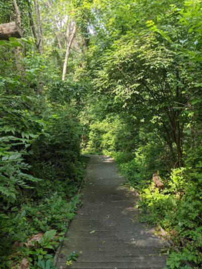 Castalia Quarry - Castalia, OH