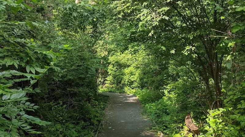 Castalia Quarry - Castalia, OH