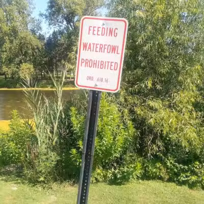 The Duck Pond - Castalia, OH