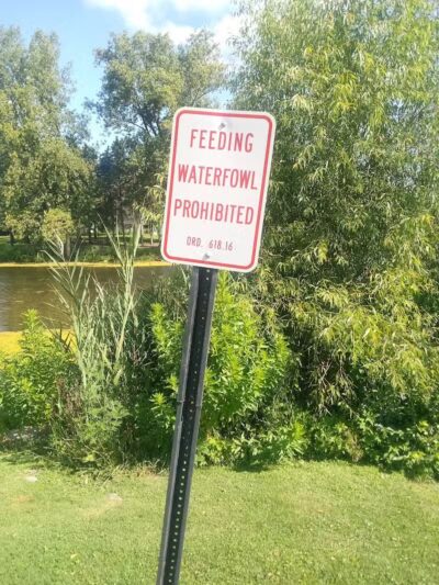 The Duck Pond - Castalia, OH