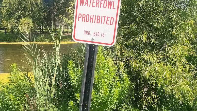 The Duck Pond - Castalia, OH