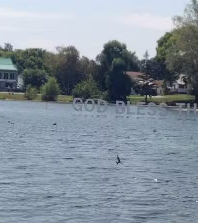 The Duck Pond - Castalia, OH