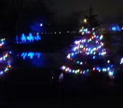 The Duck Pond - Castalia, OH