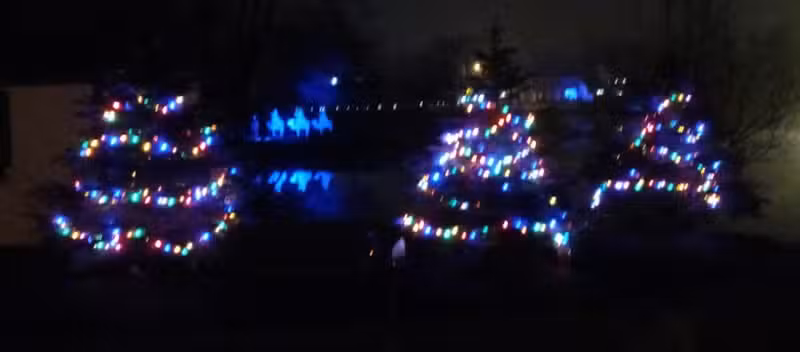 The Duck Pond - Castalia, OH