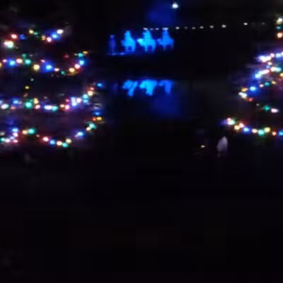The Duck Pond - Castalia, OH