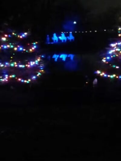 The Duck Pond - Castalia, OH