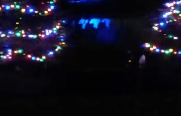 The Duck Pond - Castalia, OH