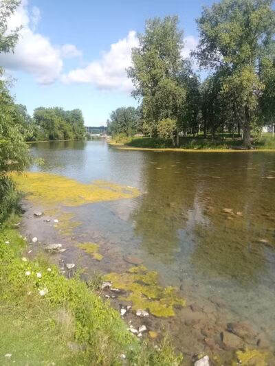 The Duck Pond - Castalia, OH