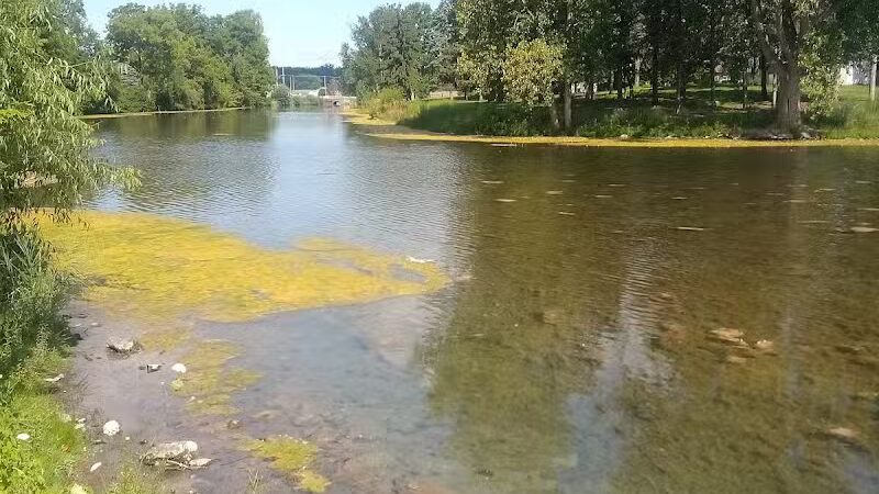 The Duck Pond - Castalia, OH