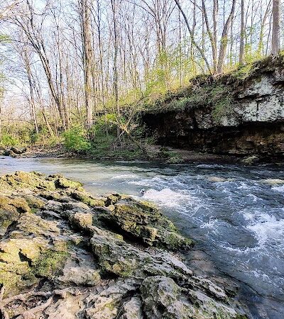 Peterson Park - Cedarville, OH