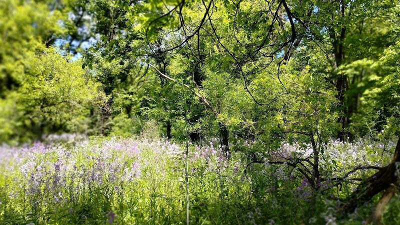 Peterson Park - Cedarville, OH