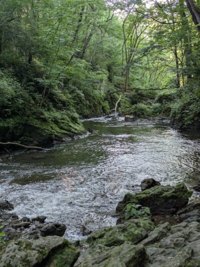 Waterfalls Trailhead - Cedarville, OH