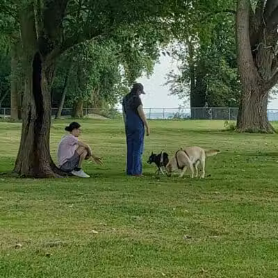 Dog Park - Celina, OH