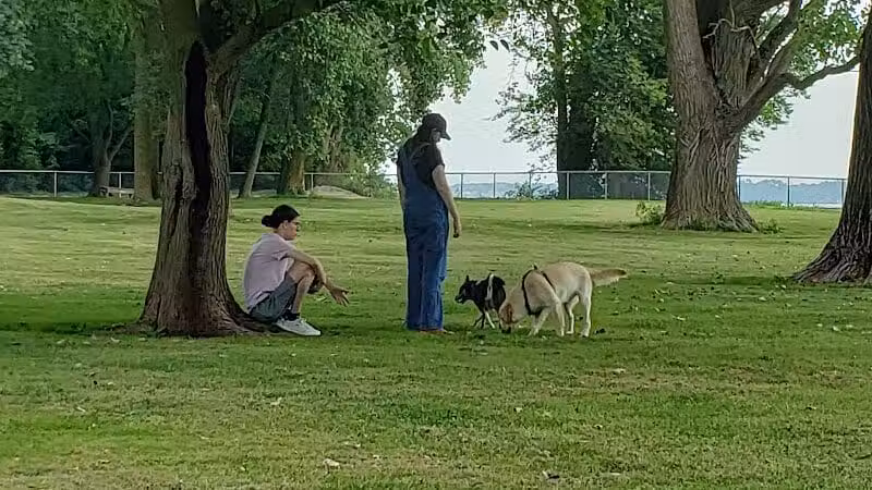 Dog Park - Celina, OH