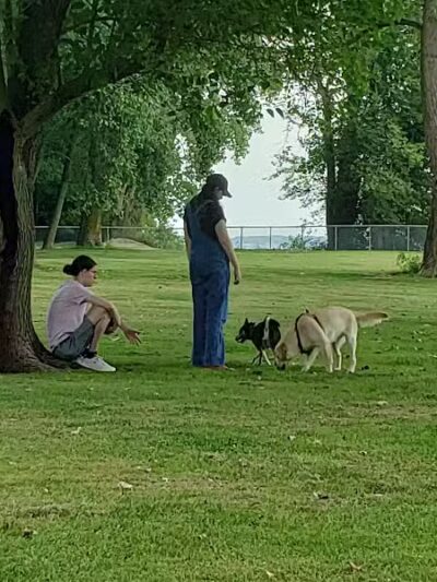 Dog Park - Celina, OH