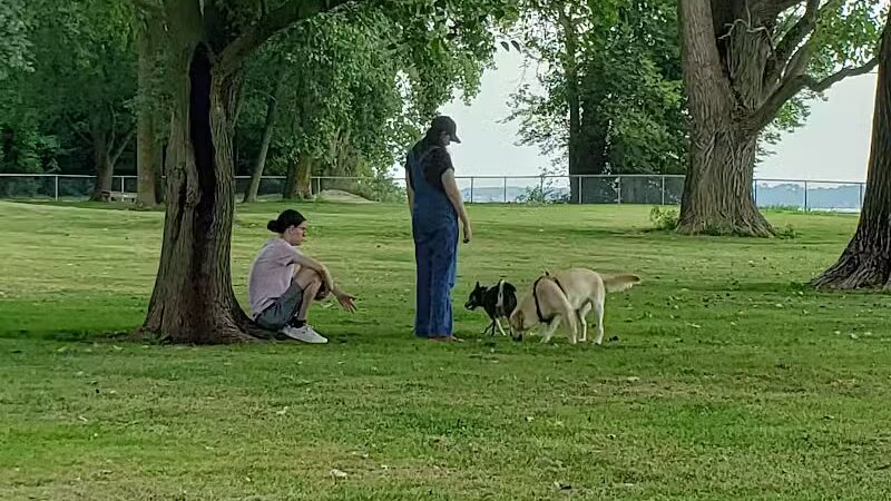 Dog Park - Celina, OH